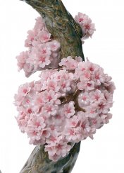 Sladká vůně květů Figurka ženy. Limitovaná edice
