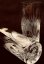 Vasos largos de cristal cortados a mano - juego de 2 piezas - Altura 11cm/230ml