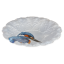Nová krása - Výstavní mísa kingfisher