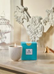 Volutes Candle. Gardens of Valencia Scent