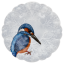 Nová krása - Výstavní mísa kingfisher