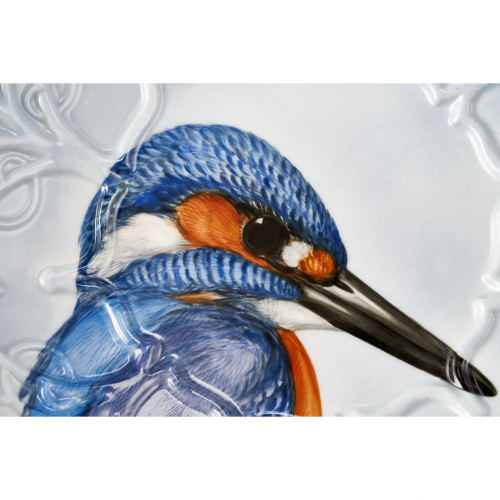 Nová krása - Výstavní mísa kingfisher